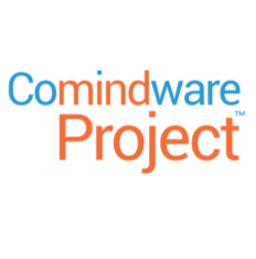Comindware Project