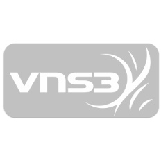 VNS3